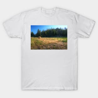 Glacier National Park Lake, Mountains, Hay T-Shirt